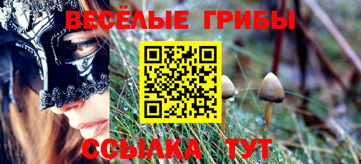 Галлюциногенные грибы ЛСД  Вход с VPN  Галлюциногенные грибы Cubensis  Абакан 